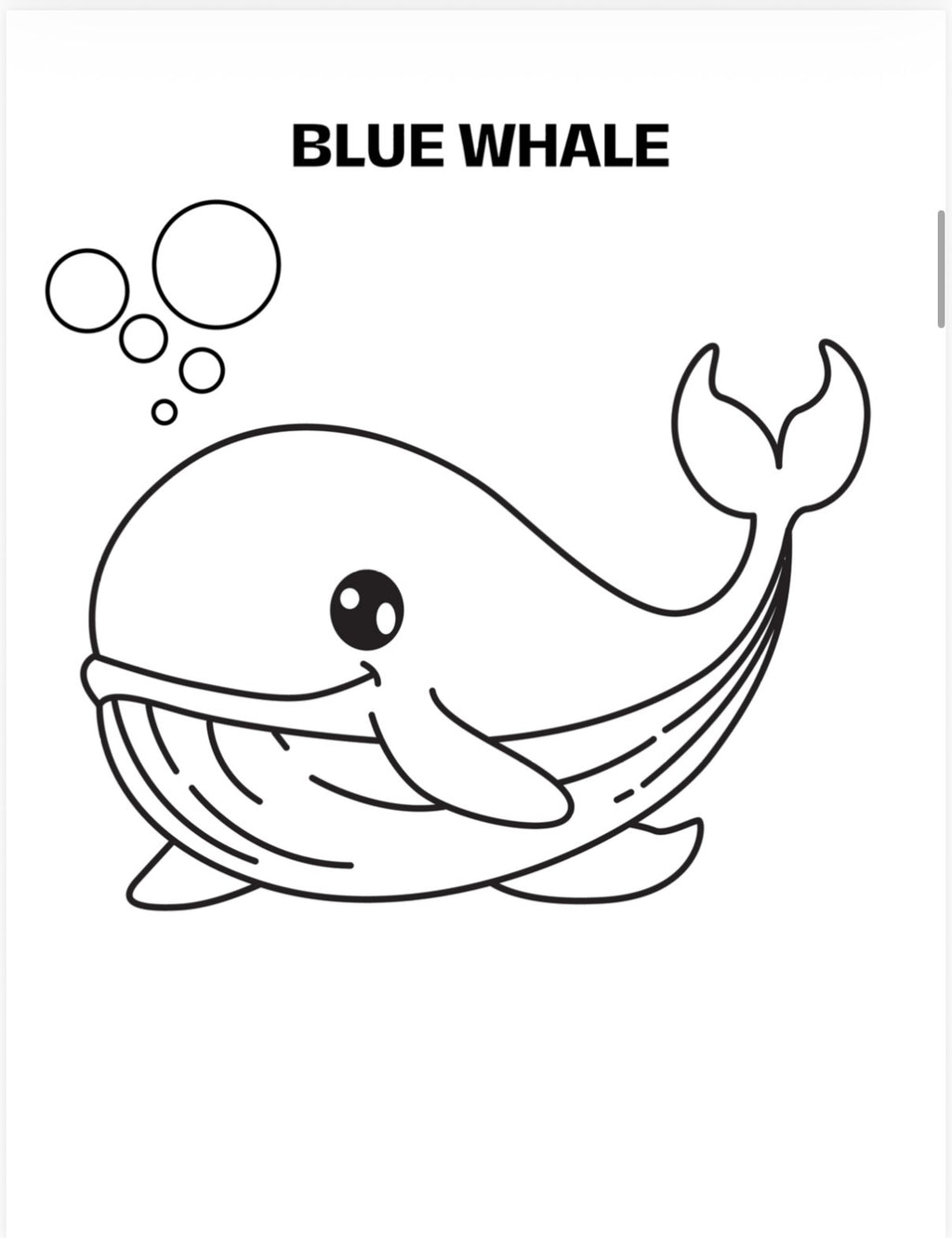 My First Coloring Book Ocean Friends