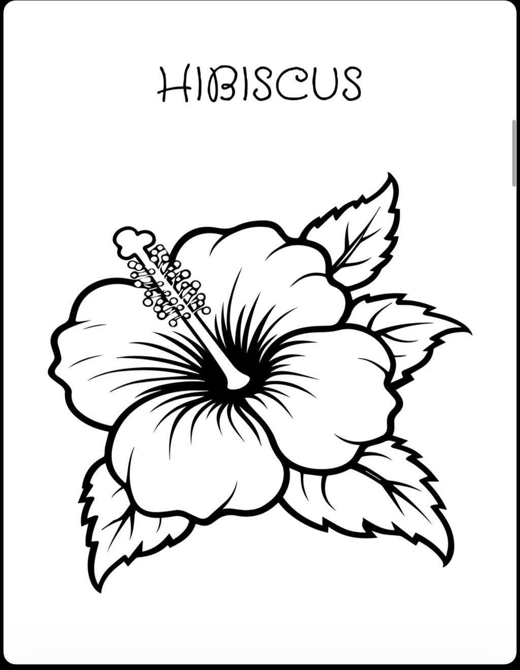 My First Coloring Book: Flowers