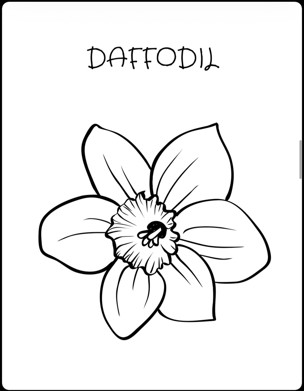 My First Coloring Book: Flowers