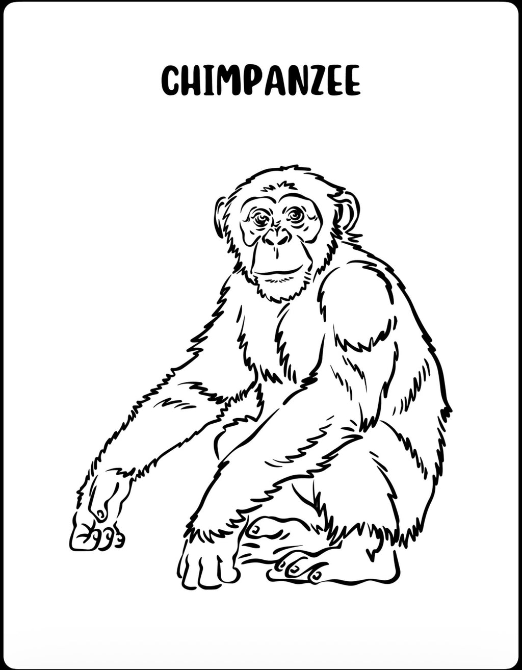 My First Coloring Book: Apes And Monkeys